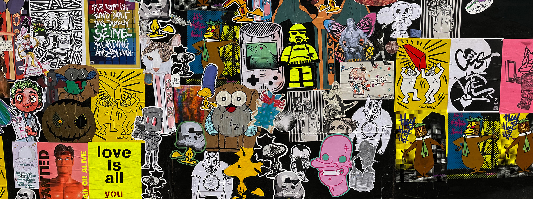 Photo by Judith Terstriep